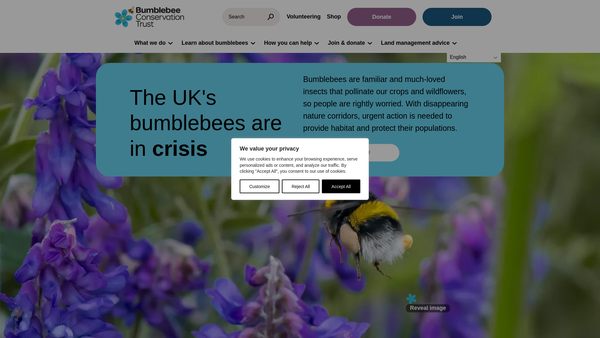 Screenshot of the Bumblebee Conservation Trust website