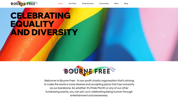 Screenshot of the Bourne Free website