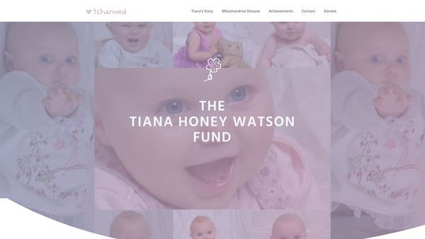 Screenshot of the The Tiana Honey Watson Charitable Trust Fund For Childrens' Rare Diseases website
