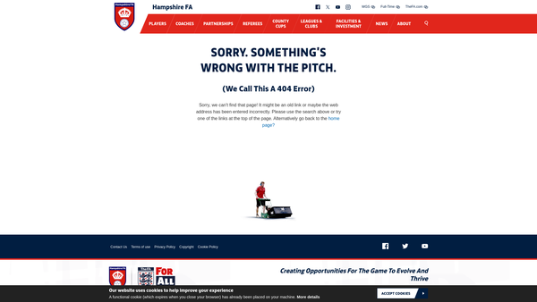 Screenshot of the Hampshire Fa Foundation Limited website