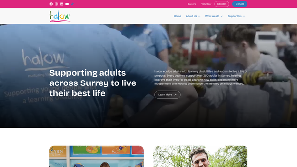 Screenshot of the Halow Project website