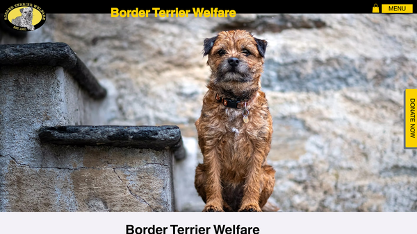 Screenshot of the Border Terrier Welfare website
