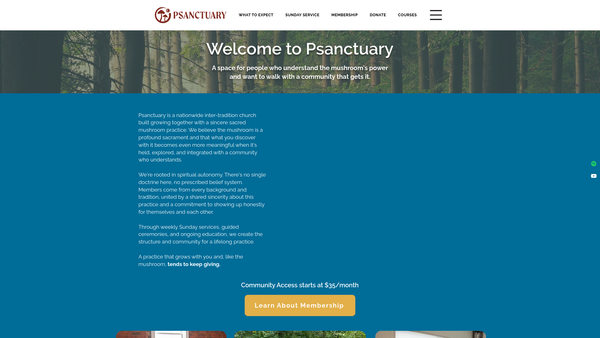 Screenshot of the Proclaimers Sanctuary website