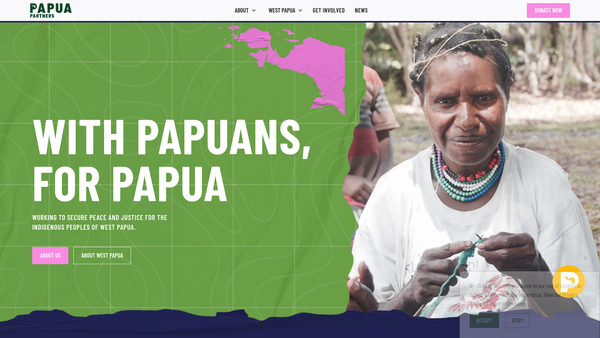 Screenshot of the Papua Partners Limited website
