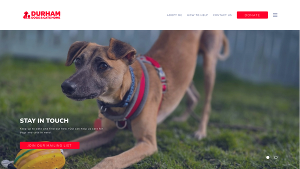 Screenshot of the Stray Aid Ltd website