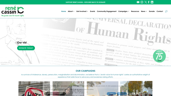 Screenshot of the Ccjo Renecassin website