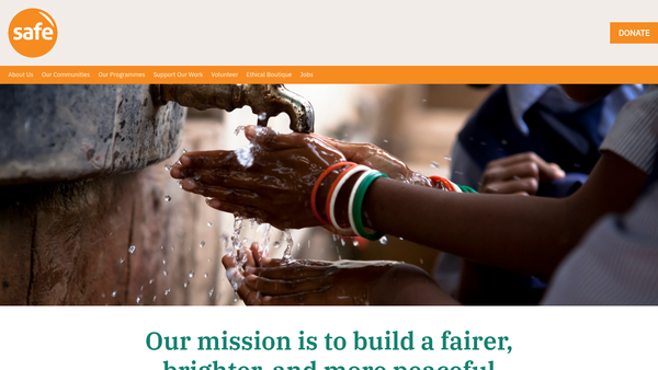 Screenshot of the The S.a.f.e. Foundation website