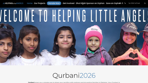 Screenshot of the Helping Little Angels website