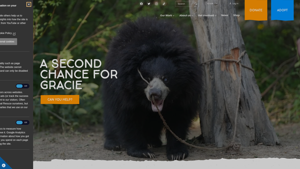 Screenshot of the International Animal Rescue website