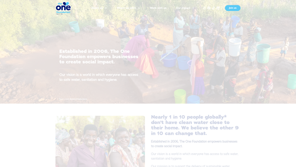 Screenshot of the The One Foundation website