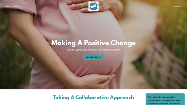Screenshot of the National Maternity Support Foundation website