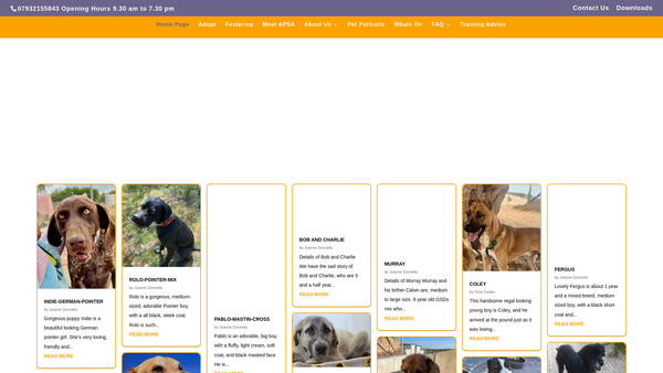 Screenshot of the Dogwatch UK website