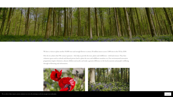 Screenshot of the Earth Restoration Service website