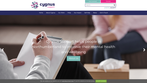 Screenshot of the Cygnus Support Ltd website
