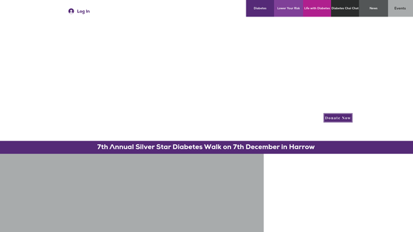 Screenshot of the Silver Star Diabetes website