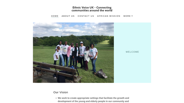 Screenshot of the Ethnic Voice UK website