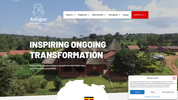 Screenshot of the Amigos Worldwide website