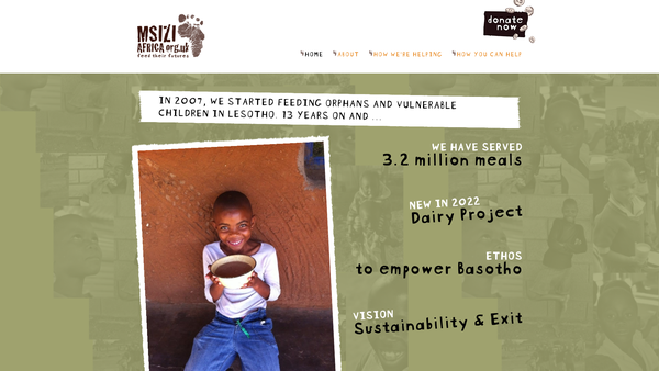 Screenshot of the Msizi Africa website