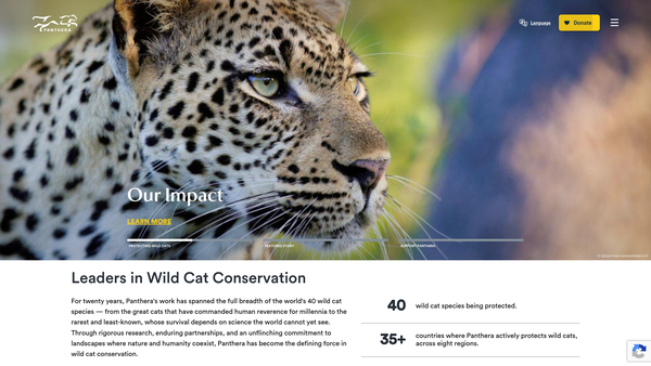 Screenshot of the Panthera Wildlife Trust Limited website