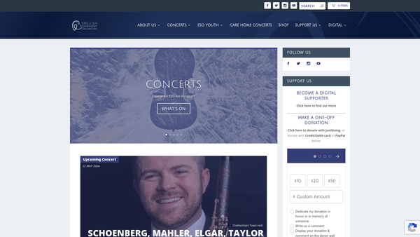 Screenshot of the Eso (2006) Limited website
