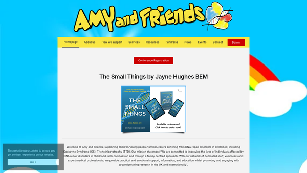 Screenshot of the Amy And Friends website