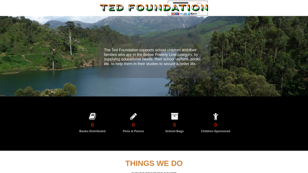 Screenshot of the The Ted Foundation website
