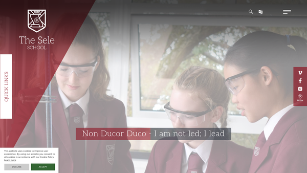 Screenshot of the Friends Of Sele School website