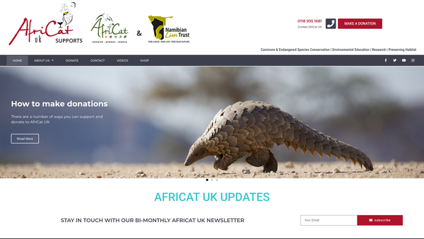 Screenshot of the Africat UK website