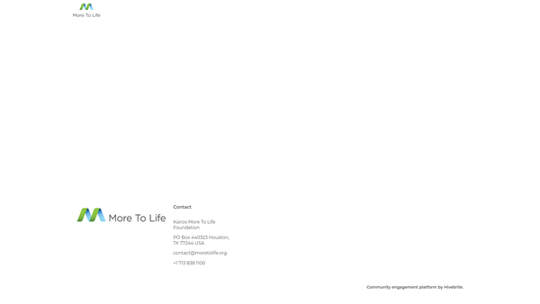 Screenshot of the The More To Life Foundation UK website