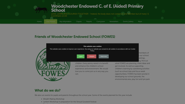 Screenshot of the Woodchester Endowed School PTA website