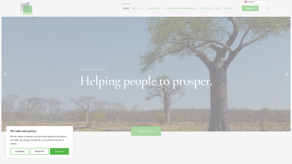 Screenshot of the Micaia website