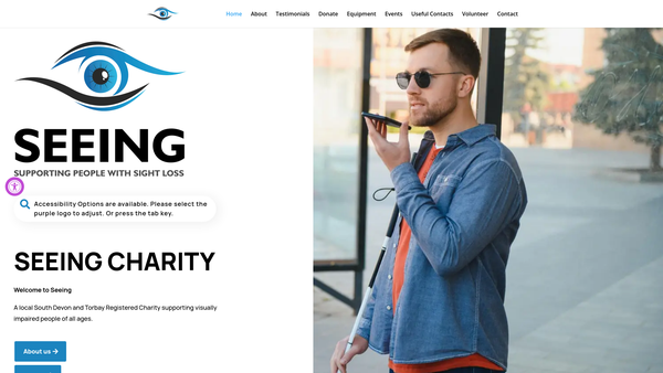 Screenshot of the Seeing website
