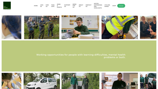 Screenshot of the The Hextol Foundation website