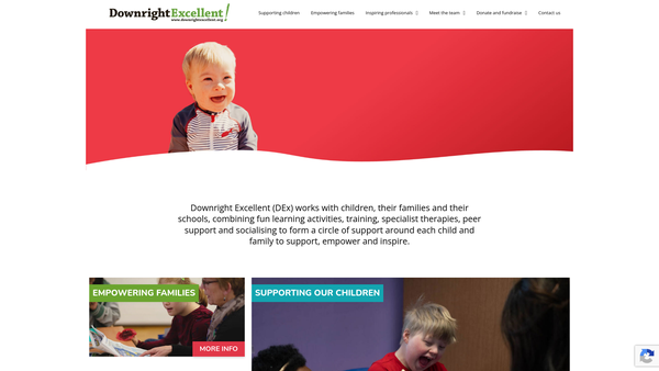 Screenshot of the Downright Excellent website