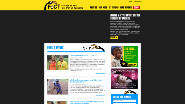 Screenshot of the Friends Of The Children Of Tanzania website