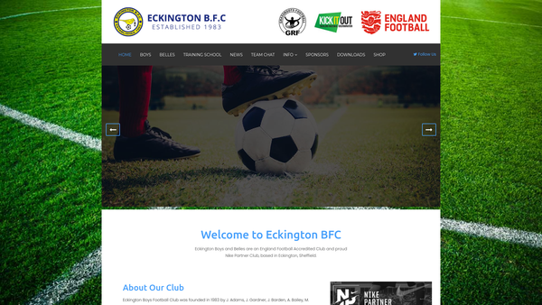 Screenshot of the Eckington Bfc website