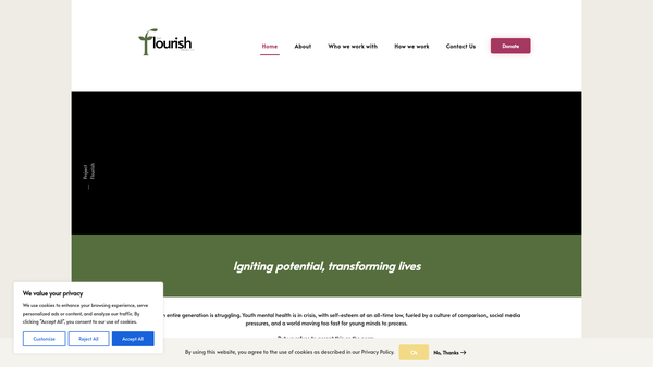 Screenshot of the Proton Foundation website