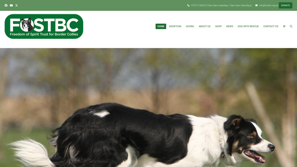 Screenshot of the The Freedom Of Spirit Trust For Border Collies website