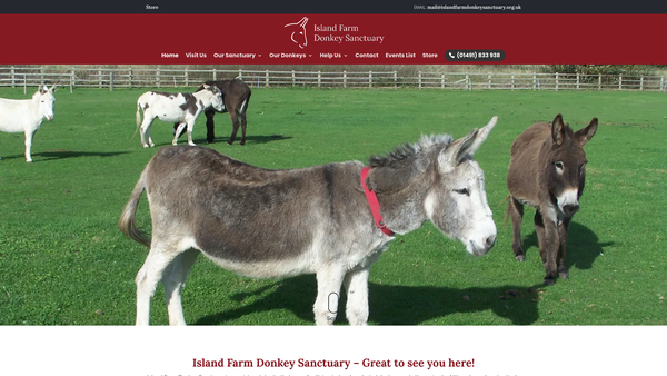 Screenshot of the Island Farm Donkey Sanctuary website