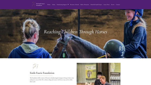 Screenshot of the The Emile Faurie Foundation website