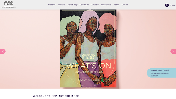 Screenshot of the The New Art Exchange Ltd website