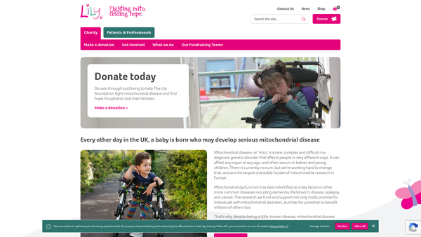 Screenshot of the The Lily Foundation website