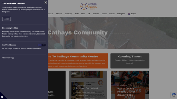 Screenshot of the Cathays And Central Youth And Community Project website