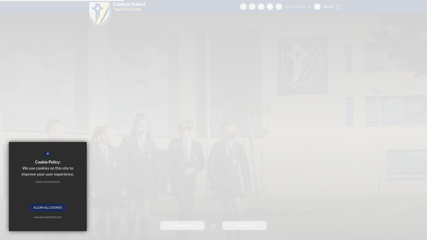 Screenshot of the Caldicot School Parents Teachers And Friends Association website