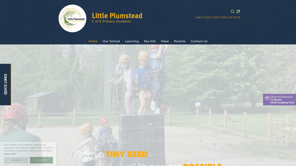 Screenshot of the Friends Of Little Plumstead School website