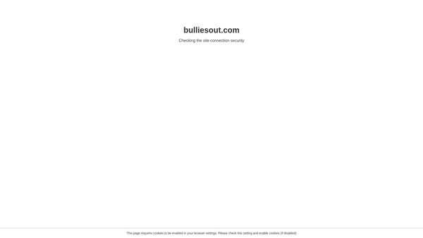 Screenshot of the Bulliesout website