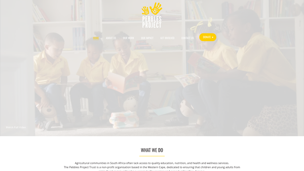 Screenshot of the Pebbles Project UK Limited website