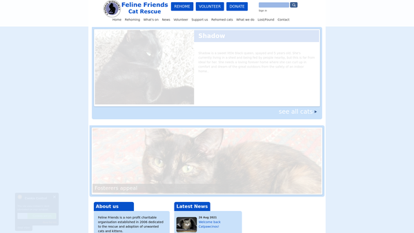 Screenshot of the Feline Friends Limited website