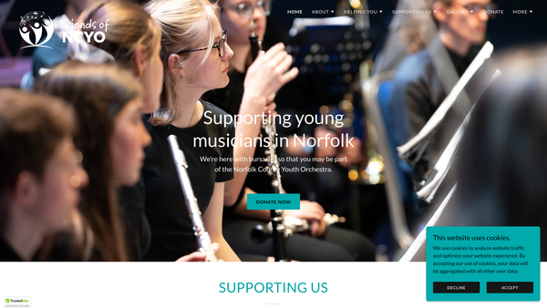 Screenshot of the Friends Of Norfolk County Youth Orchestra website