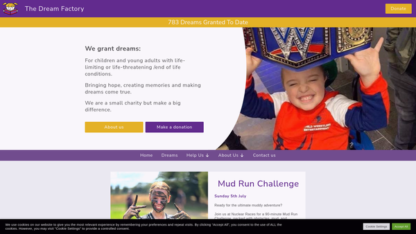Screenshot of the The Dream Factory website
